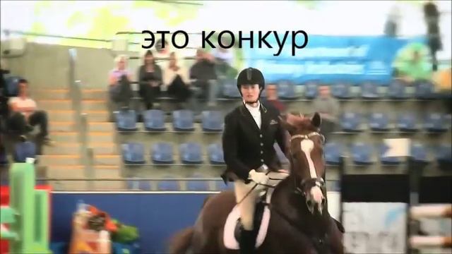 конный спорт -троеборье смотреть онлайн