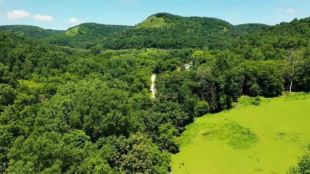 Как привлечь деньги | Мощная медитация-обращение к денежному Древу Жизни. смотреть онлайн