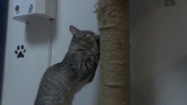 Волонтёрская акция 9К класса смотреть онлайн