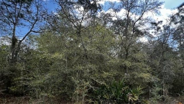 Dalton Wade Real Estate Group - VACANT LAND-ROYAL HIGHLANDS смотреть онлайн