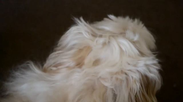 Nikon D3100 Video Test [1080p/24fps] смотреть онлайн