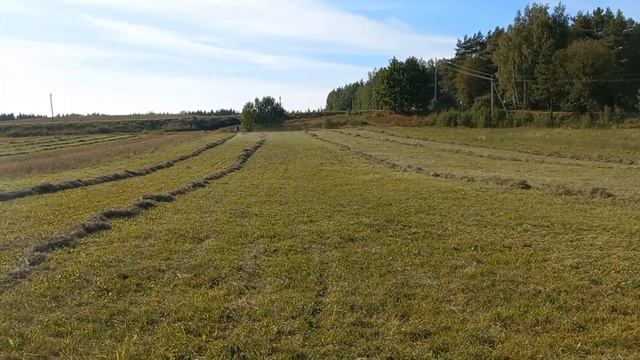 Сенокос 2023, грабли солнышко нам в помощь ? смотреть онлайн