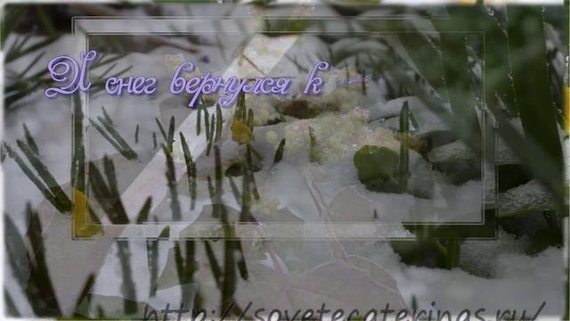 Весна! Капризная девица! смотреть онлайн