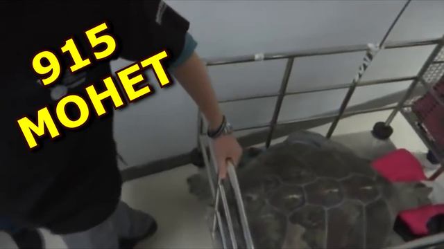 У врачей глаза на лоб полезли когда они прибыли и вскрыли её! смотреть онлайн