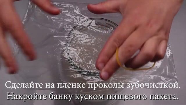 Корейский Домашний Экстракт Сока Сливы Рецепт Homemade Plum Extract Recipe 매실청 만들기 смотреть онлайн