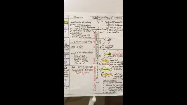 Dr.Nagi - Live Physiology - Lecture 95 - GIT (1) - Nervous & Hormonal Control of GIT смотреть онлайн