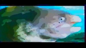 Michel Polnareff - Toi et moi - 1990 - Clip-Montage