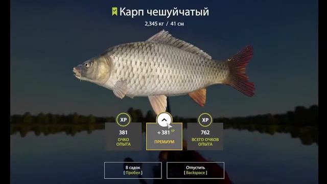 рр4 прокачка донки 95.8% гоним дот 100 смотреть онлайн