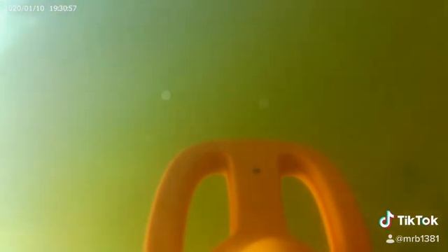 Scuba Tector treasure hunt смотреть онлайн