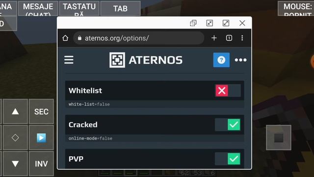prezentarea serverul meu de Minecraft Java Edition pe telefon pe aplicația pojavlauncher смотреть онлайн