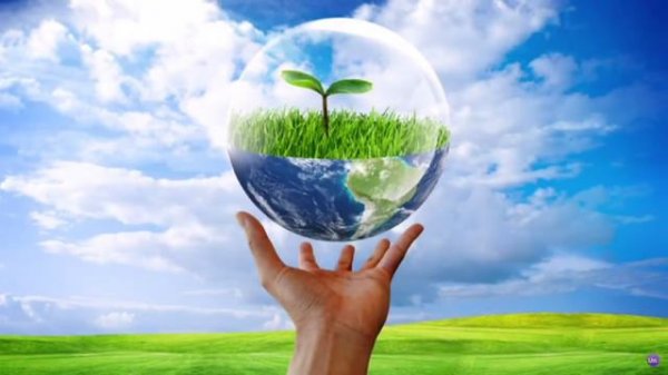 Аэроэстетические образы Frutiger