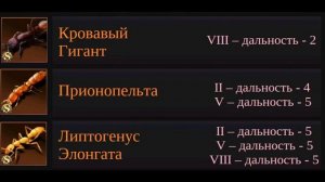 the ants underground kingdom - расстановка 12 сезонных муравьёв — отредактированное видео