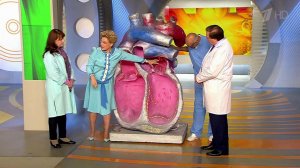 Частое сердцебиение. Как успокоить сердце. Жить здорово! Фрагмент выпуска от 27.11.2015