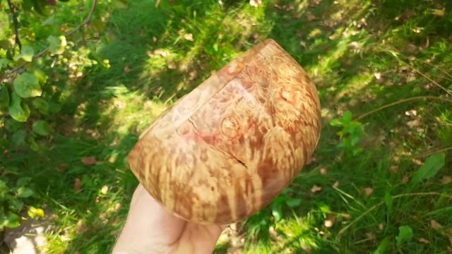 Кукса из капа клена . смотреть онлайн