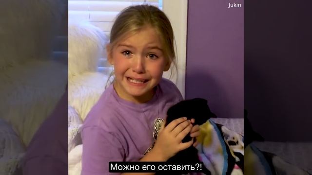 Девочка потеряла лучшего друга. Через месяц она нашла это в своей комнате. смотреть онлайн