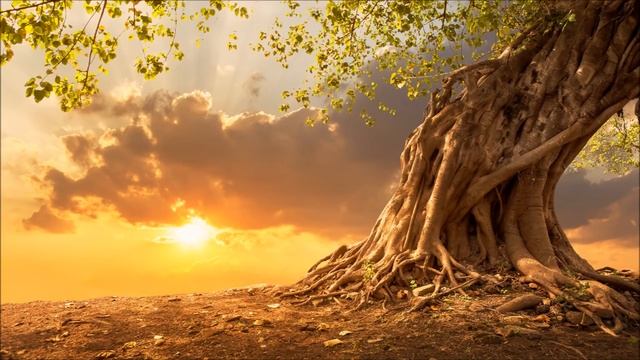 Música Nativa Americana Apache | Música Chamánica Indios Americanos | Música Espiritual Para Medita