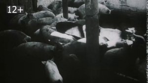 Видеоматериалы ко Дню единых действий 19 апреля 2021 года