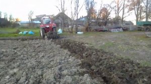 Трактор МТЗ 82 с дисковой бороной.