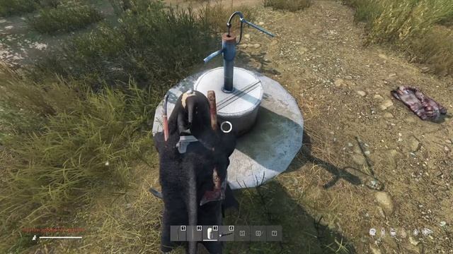 DayZ 1.11 сервер Predators PVE Продолжаем выживать №3 смотреть онлайн