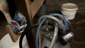 #ПЕРЕДЕЛКА ДОИЛЬНОГО АППАРАТА# МЕНЯЕМ ПУЛЬСАТОР  СИНХРОННОГО ДОЕНИЯ НА ПУЛЬСАТОР ПОПАРНОГО ДОЕНИЯ#