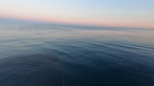 Рыбалка на Черном Море. Ловля Ставриды на Самодур с Берега.