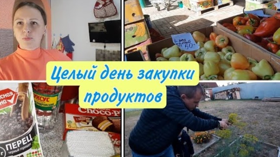 Закупка продуктов с РЫНКА ? Установили ЩИТОК электрический ? Обрезаем зонтики смотреть онлайн