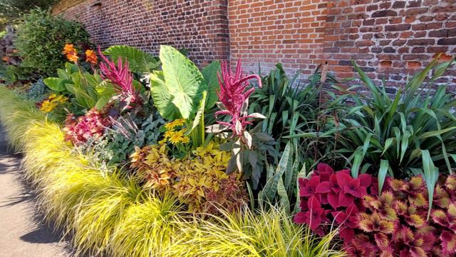 Англия. DAY after DAY. ХXX Хэмптон смотреть онлайн