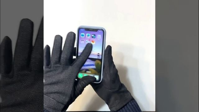 JDG2-1  Перчатки  муж. 100% полиэстер; на ладони: 90% полиэстер/10% эластан FABRETTI