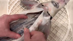 Как правильно чистить осетра эпизод №1444