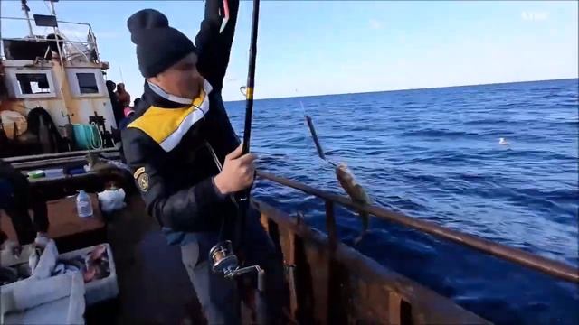 Мурманск 2020. Рыбалка в Ура-Губа. смотреть онлайн