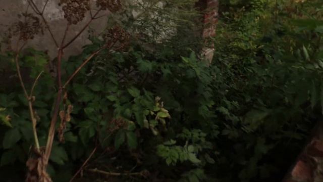 Подмоклово: заброшенная усадьба князей Долгоруких и церковь Рождества Богородицы на реставрации