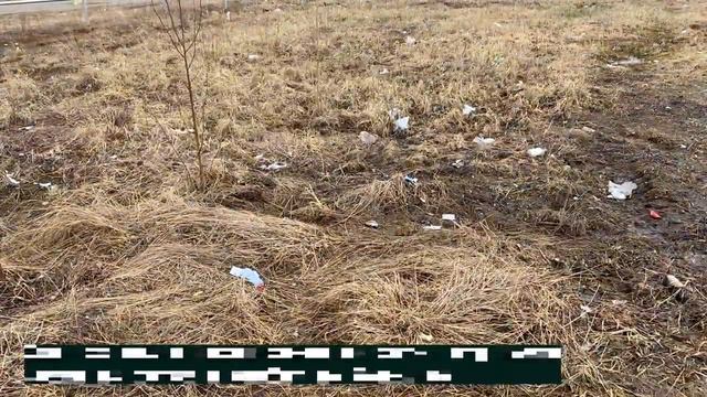 Ничей мусор 12.05.2021 смотреть онлайн