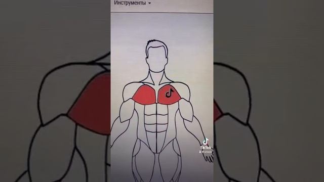 КАК ПРИВЕСТИ СВОЁ ТЕЛО В ФОРМУ ВСЕГО ЗА ПАРУ НЕДЕЛЬ??? #shorts