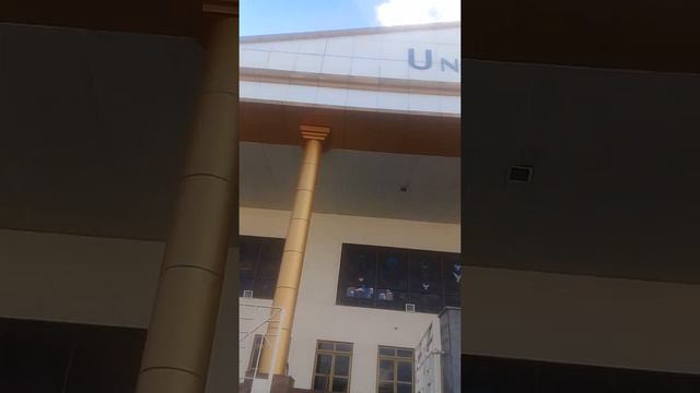 Самая большая протестантская церковь в бразильском городе смотреть онлайн