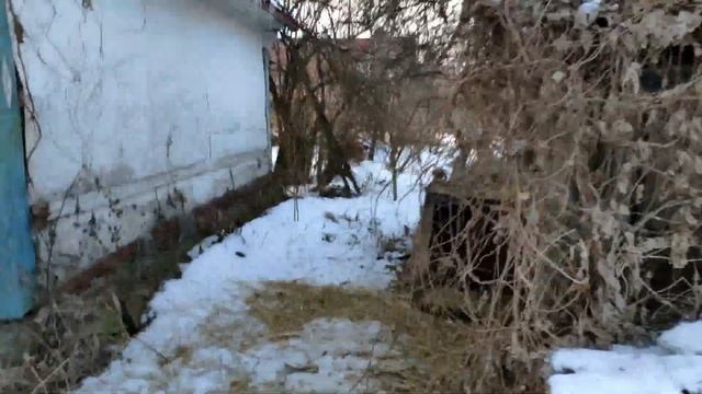 Обзор земли сельскохозяйственного назначения в Макарове за 12 000$ смотреть онлайн