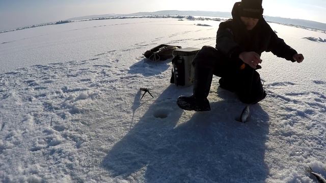 Набомбил ПОЛНЫЕ САНИ ЖИРНОЙ ПЛОТВЫ смотреть онлайн