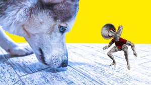 ВЕЛИКАЯ МАТЬ МЕГАФОН ПРЕВРАТИЛАСЬ В МАЛЯВКУ !! (Хаски Бандит) Говорящая собака