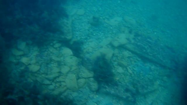 Зимнее подводное плавание смотреть онлайн