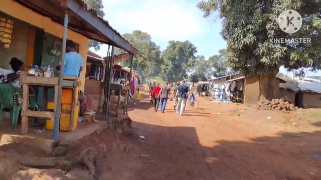 🇨🇫Африканская глубинка🇨🇫 как живут люди в африке #жизньвдеревне  #trevel  #жизньбульдозериста