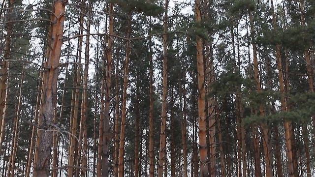Башкирия,Учалы смотреть онлайн