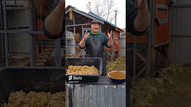 ДОБАВКА ДЛЯ ЯИЦ! смотреть онлайн