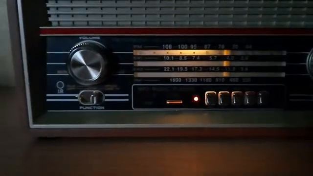 Радиоприемник Ritmix RPR-102 смотреть онлайн