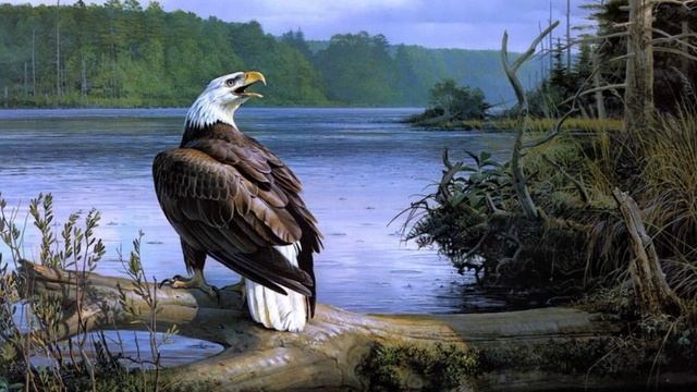 ? ПОЛЁТ ДУШИ (Индейская Этническая Музыка) смотреть онлайн