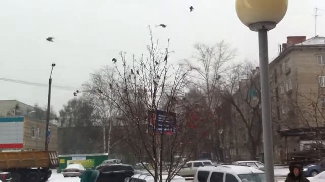 Свиристели смотреть онлайн