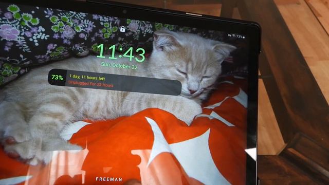 SAMSUNG Galaxy Tab A8 10.5" 2021 SM-X200 One UI 5.1.1 Overview смотреть онлайн