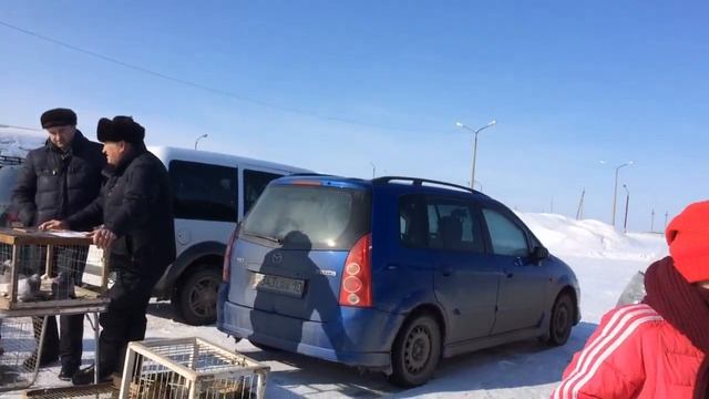 Ярмарка голубей. в г. Костанай. 2021год. Часть 2. смотреть онлайн