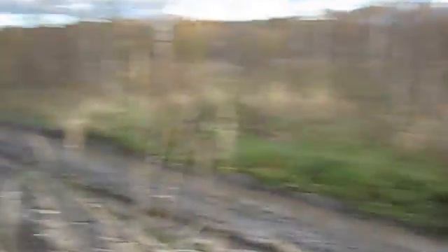 Бедолажки в поисках грязи смотреть онлайн