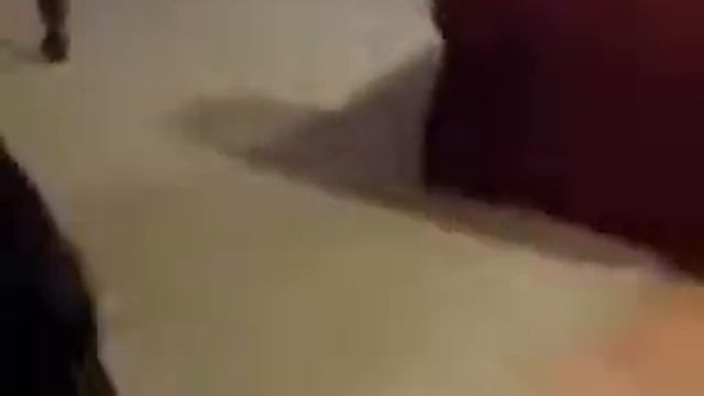 Бобик собирается на Дачу смотреть онлайн