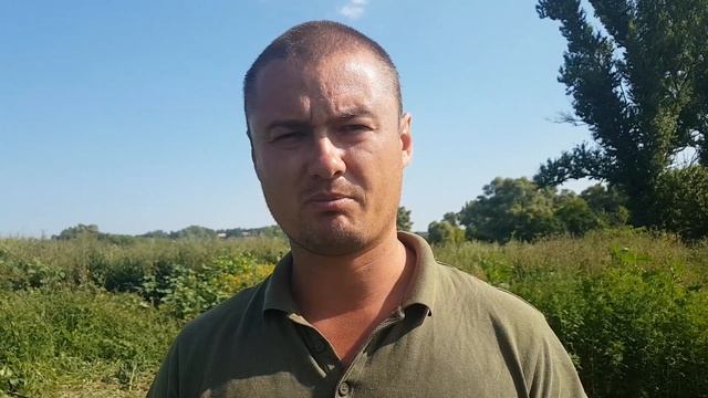 Павловния клон 112, 15 месяцев после посадки. смотреть онлайн