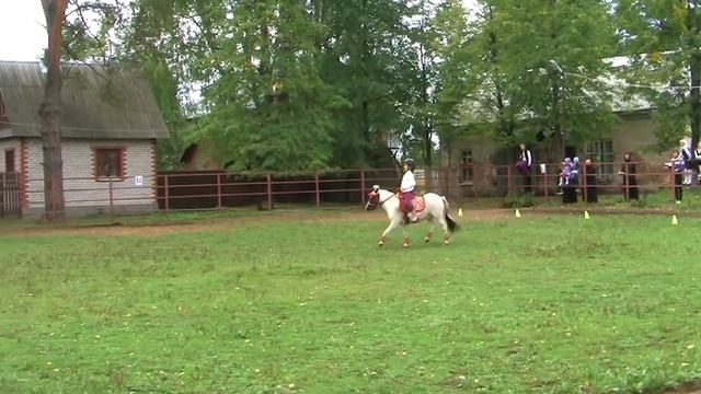 Детские конные соревнования Рабочая тропа смотреть онлайн
